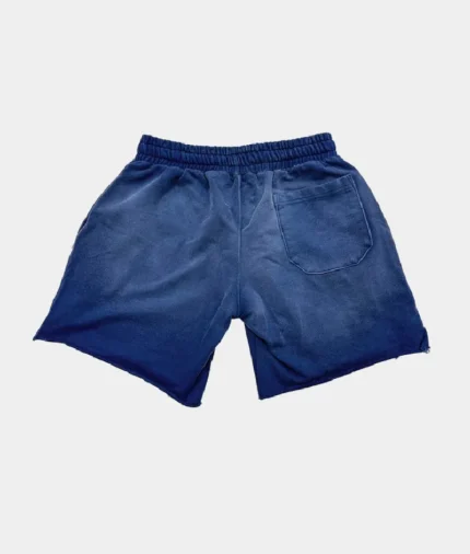 Vertabrae Double Emblem Shorts Blue (1)